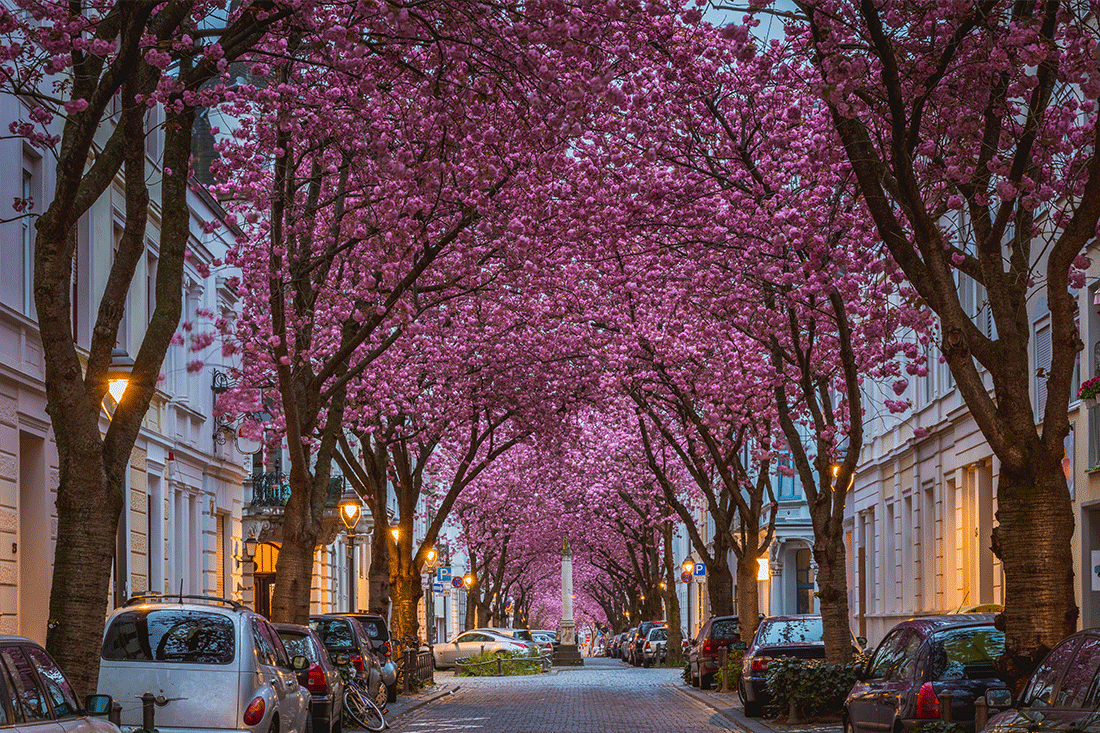 Wochenend Angebot im Hotel Collegium Leoninum, Bonn