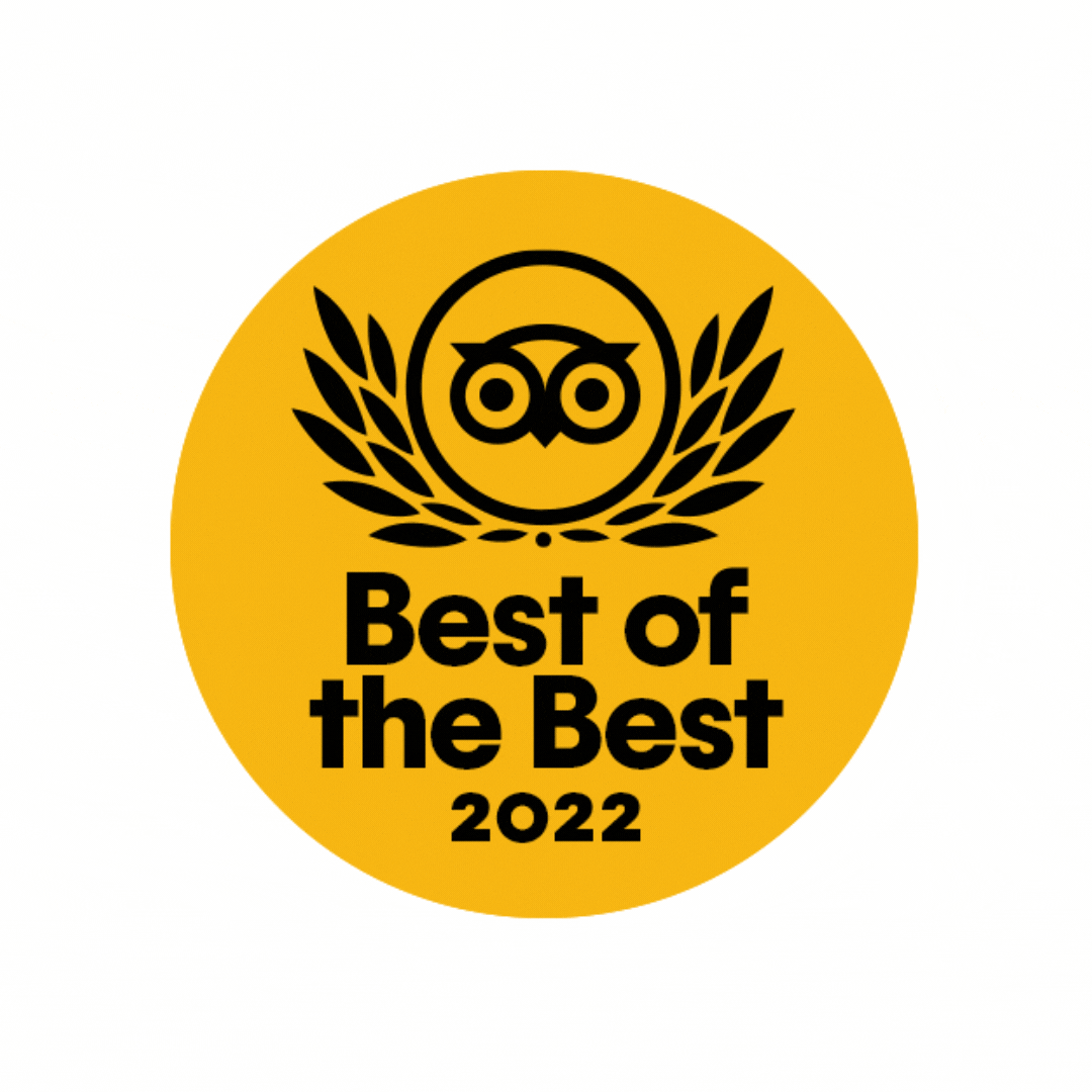 Tripadvisor 2022 award logo yellow