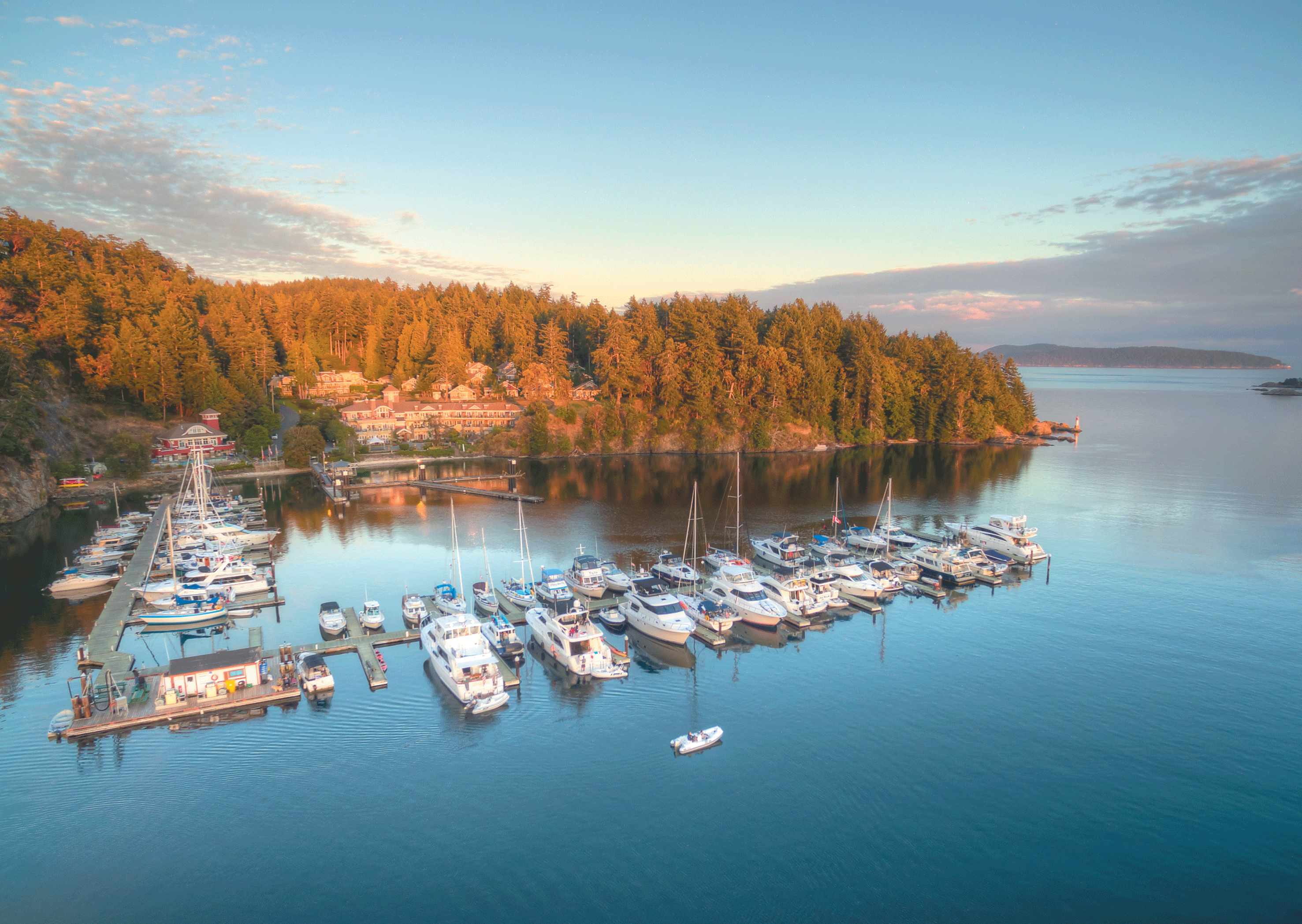 Aerial view of the harbor and forest near Poets Cove Resort & Spa