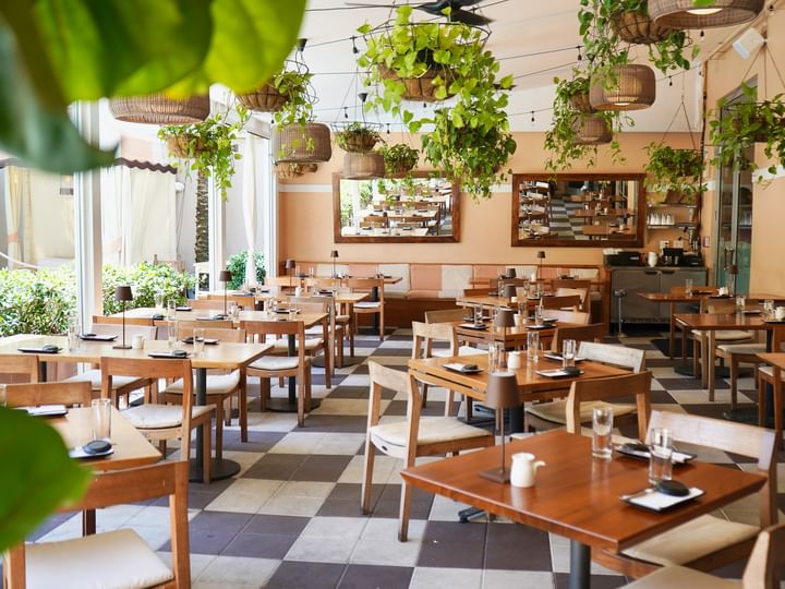 A brightly lit dining area with wooden tables and white chairs, adorned with hanging plants and large windows.