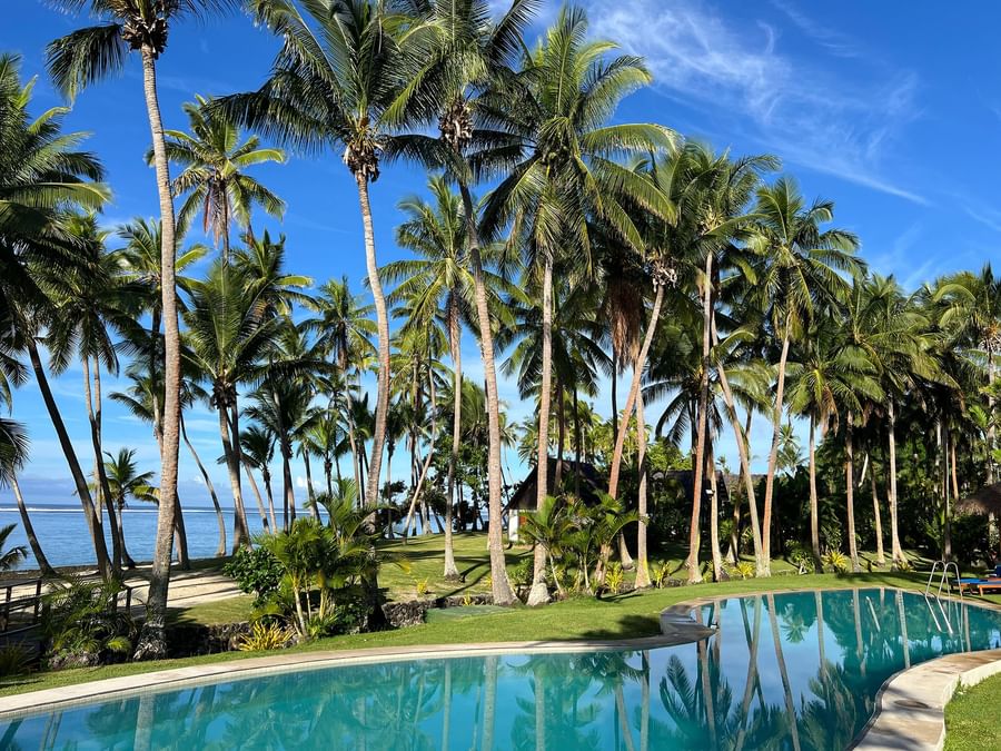 Outdoor pool surrounded by palm trees and lush greenery at Tambua Sands Beach Resort - Fiji.