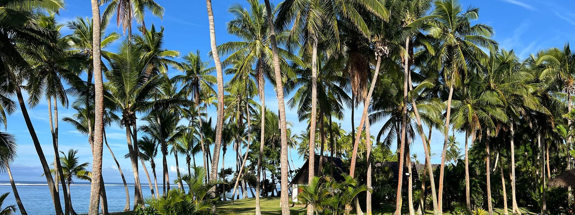 Tropical pool with clear blue water surrounded by palm trees at Tambua Sands Beach Resort in Sigatoka