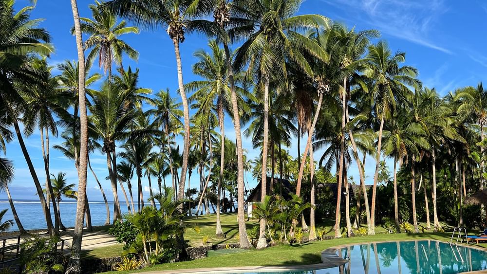 Tropical pool with clear blue water surrounded by palm trees at Tambua Sands Beach Resort in Sigatoka.