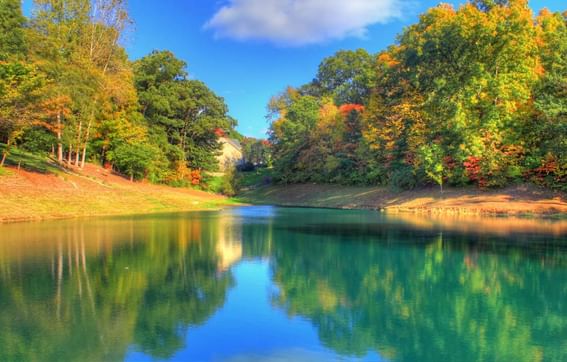 St. Louis pond surrounded by vibrant trees near The Wildwood Hotel