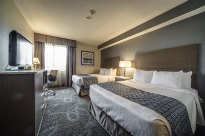 Two Double Beds, Flat tv and working desk with chair - Monte Car