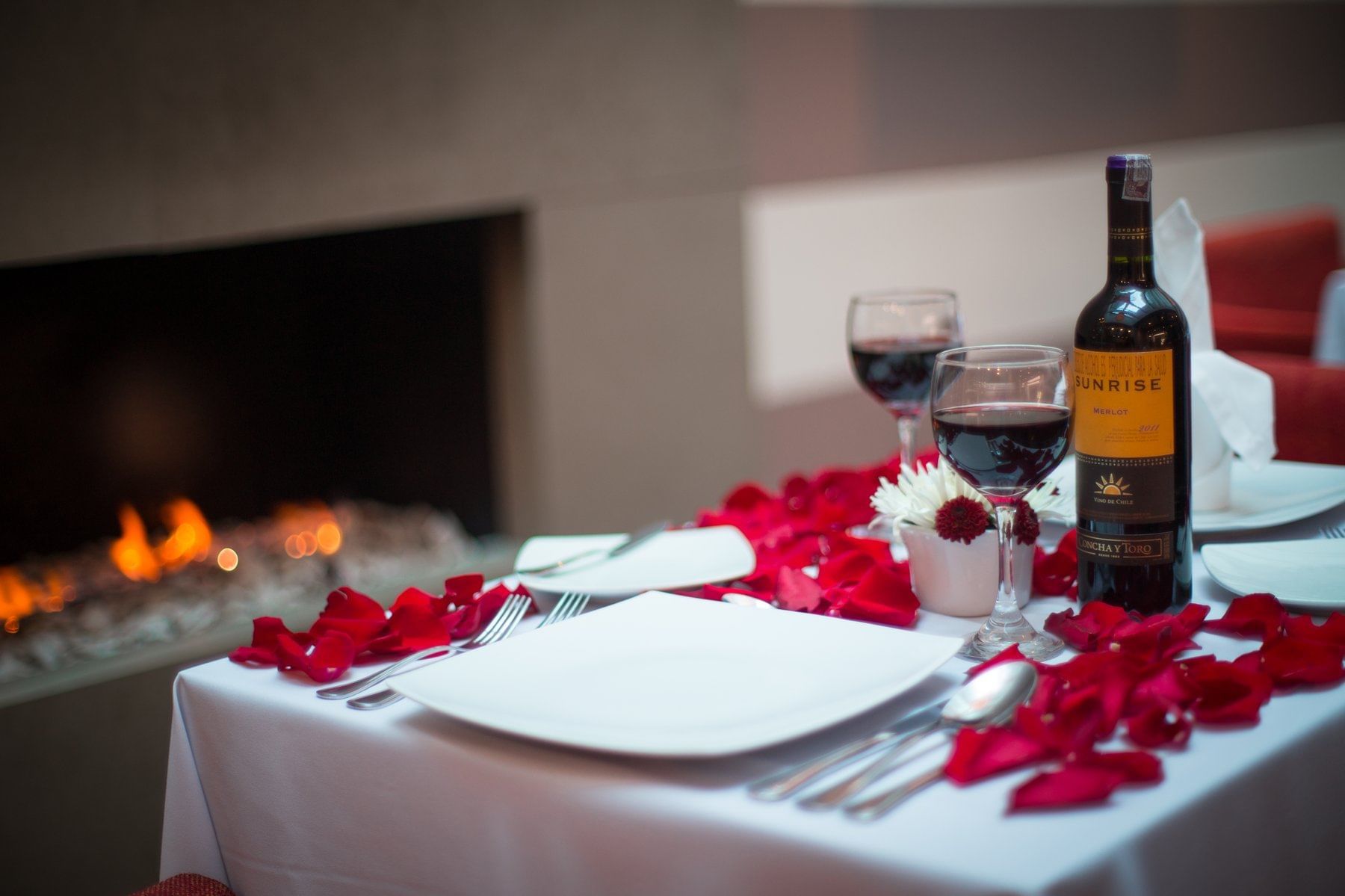 Romantic Setup in front of fireplace
