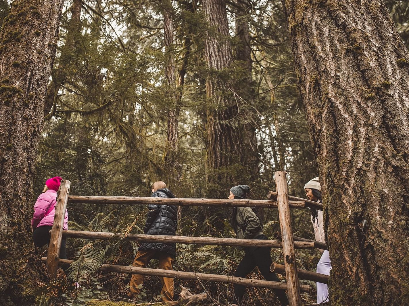 People walking along a path in a lush forest near Alderbrook Resort & Spa