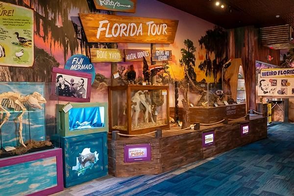 Interior of Ripley’s Believe It or Not! near Lake Buena Vista Resort Village & Spa