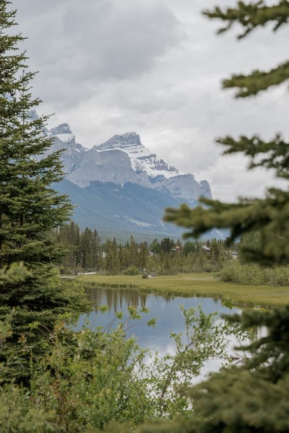 Snow-capped mountains behind a serene lake by trees near Spring Creek Vacations