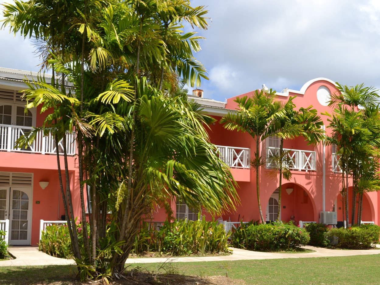 Garden Oasis with palm trees on a sunny day at Dover Beach Hotel