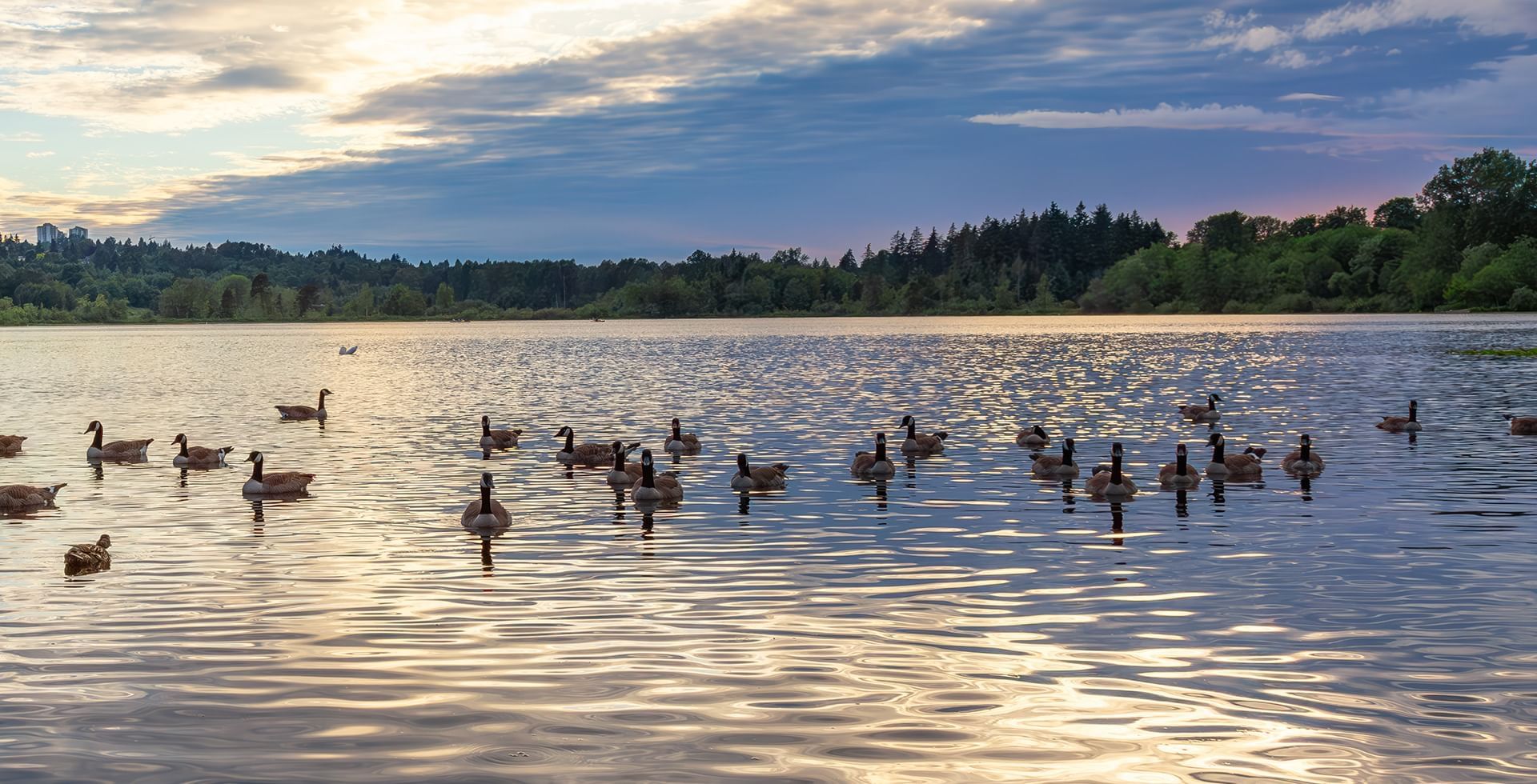 Canada goose hotsell 0 km