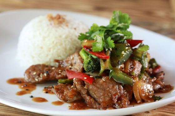 White plate of beef stir fry with rice and cilantro at Peppers Seminyak