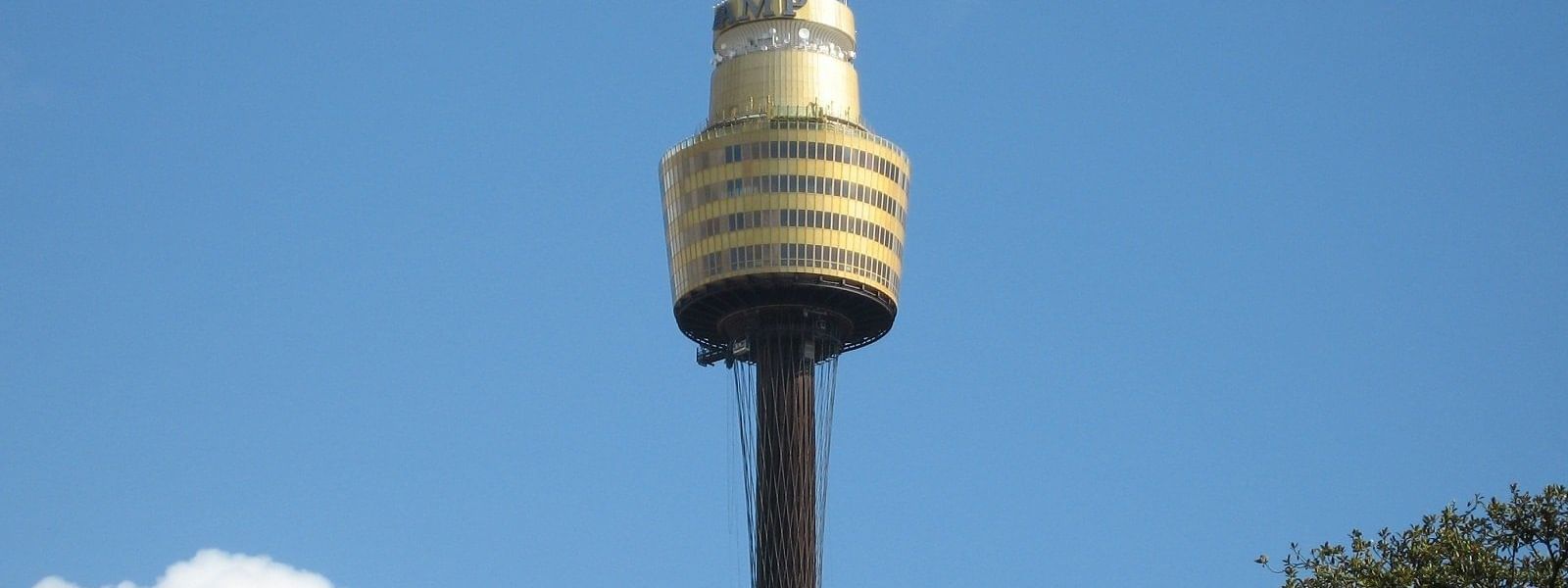 Sydney Tower Eye near ibis Sydney World Square Hotel