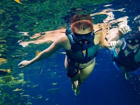 Couple snorkeling in the waters near Haven Riviera Cancun