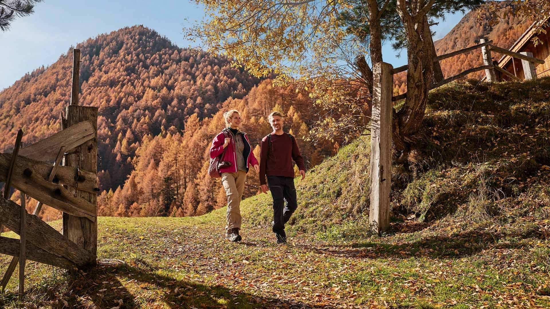 Two people walking on a trail near a wooden gate with a mountain and fall foliage in the background.