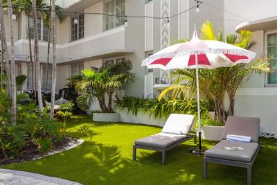 Loungers with an umbrella in the garden at South Beach Hotel