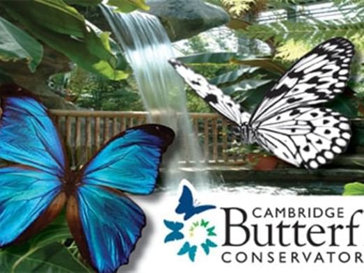 Cambridge Butterfly conservatory near The Inn of Waterloo