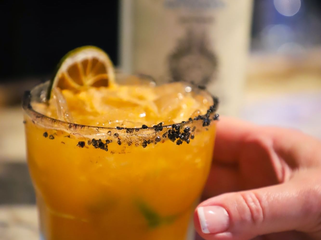 Daily Specials at Wild Sea Oyster Bar & Grille