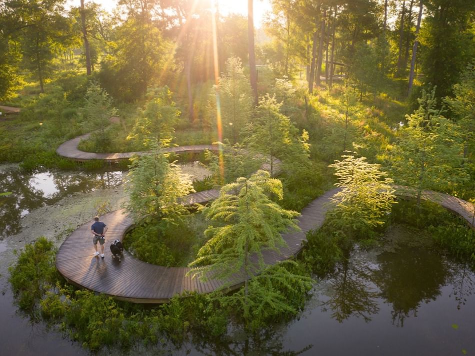 Winding wooden path at Houston Arboretum near Granduca Houston, a serene setting surrounded by lush greenery and nature
