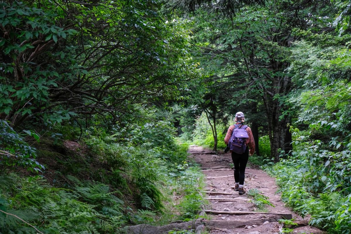 The Best Spring Hikes Near Freeport, Maine | Blog Harraseeket Inn