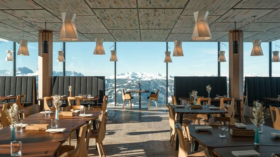 AlpiNN by Norbert Niederkofler