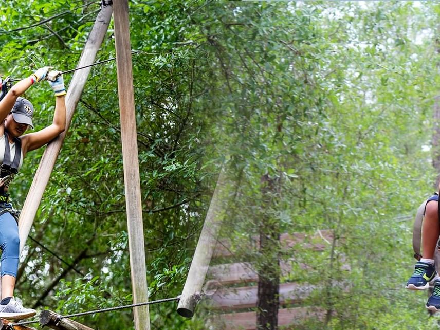 Camping adventures in Orlando Tree Trek Adventure Park near Lake Buena Vista Resort Village & Spa