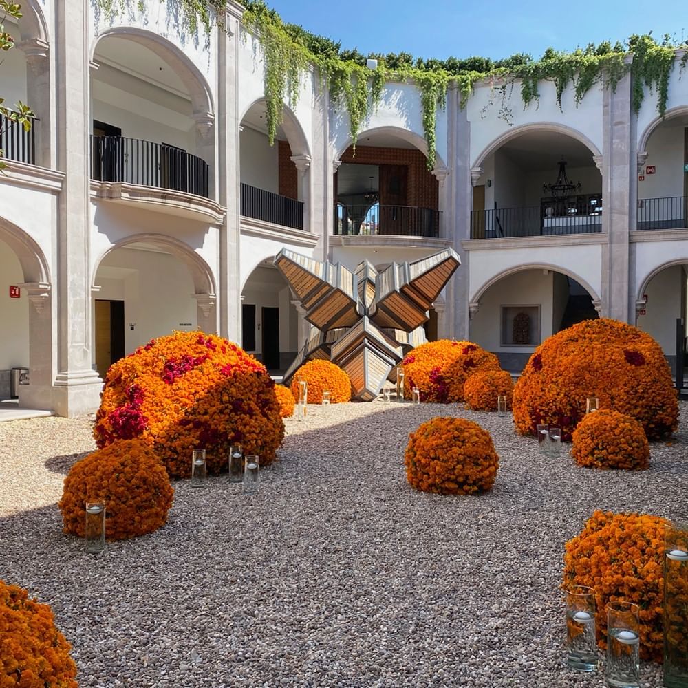 Garden decorated with Tagetes erecta flowers at Live Aqua San Miguel de Allende