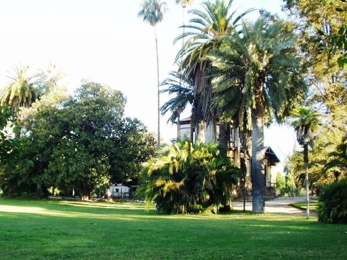 The surrounding view of Peralillo Park at NOI Blend Colchagua