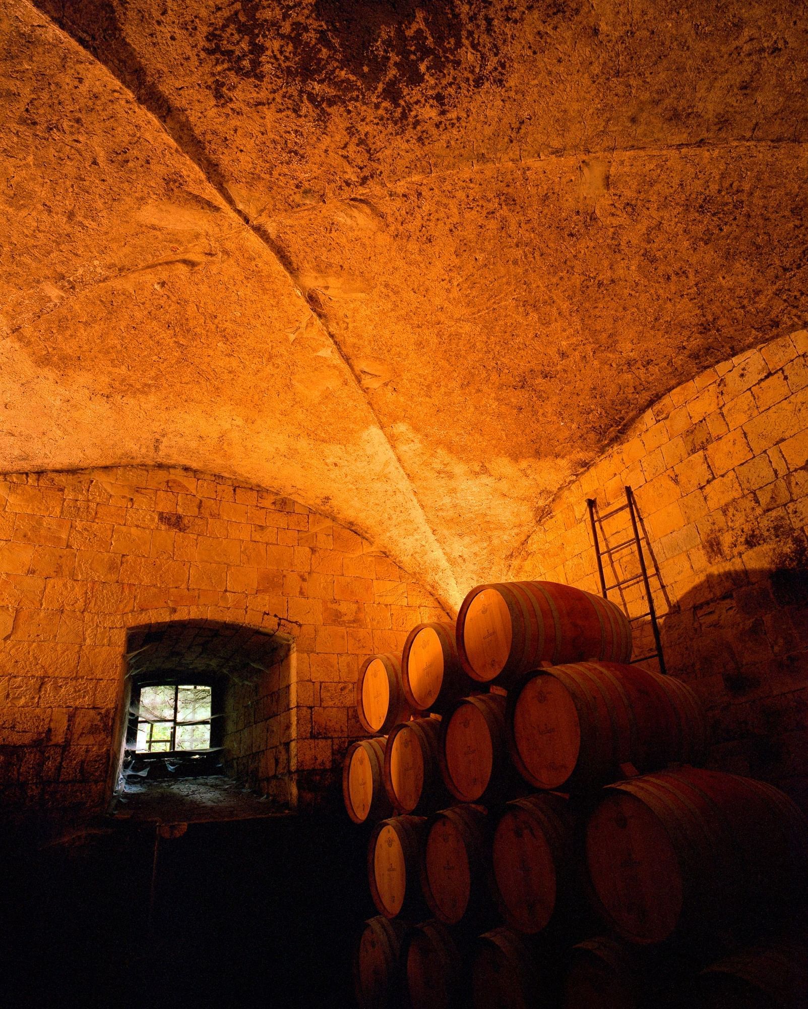 barrels in a wine cellar
