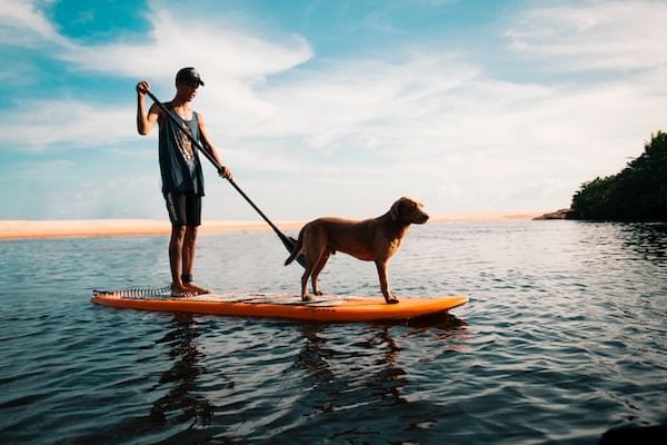 Man paddling on Alpha Lake with a dog near Blackcomb Springs Suites