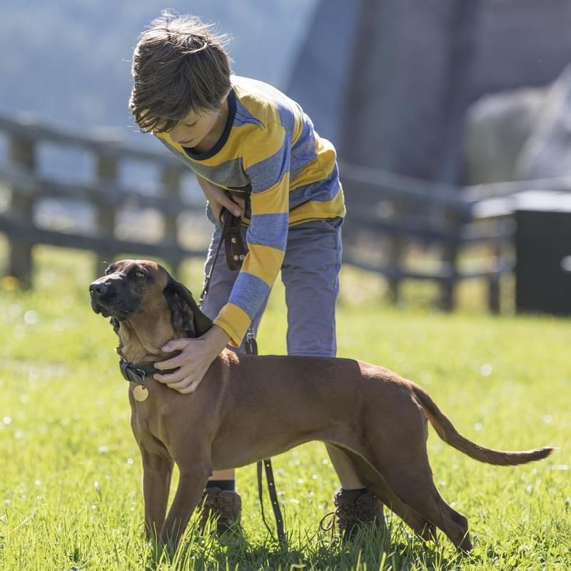 A boy petting a dog on a lawn area at Falkensteiner Hotels