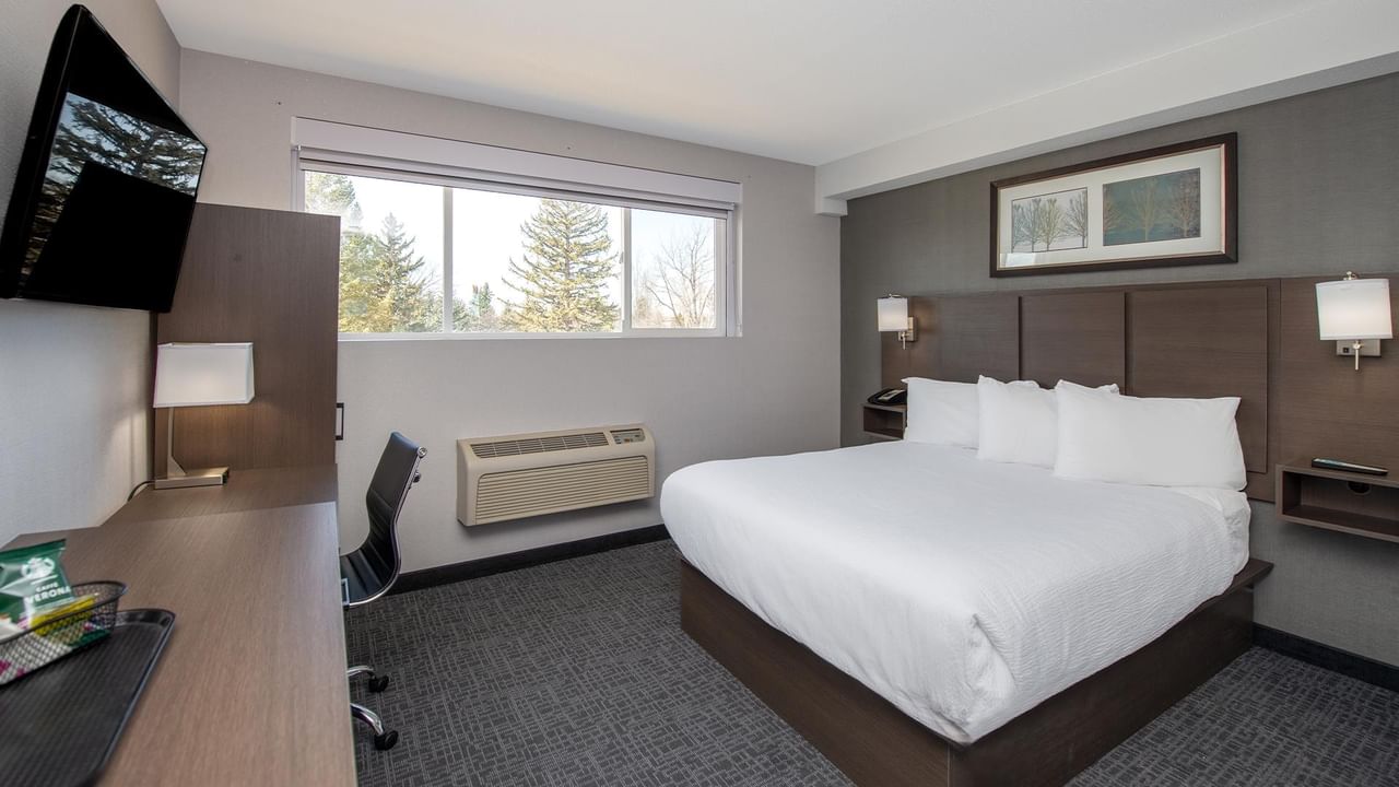 Hotel room with a queen bed, desk, chair, TV, and large window.