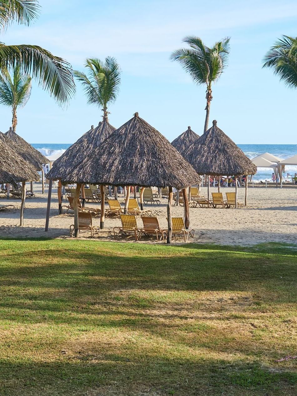 The beach with palm trees & palapas near Mundo Imperial