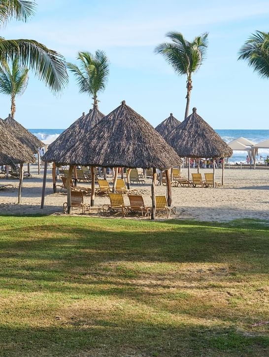 The beach with palm trees & palapas near Mundo Imperial