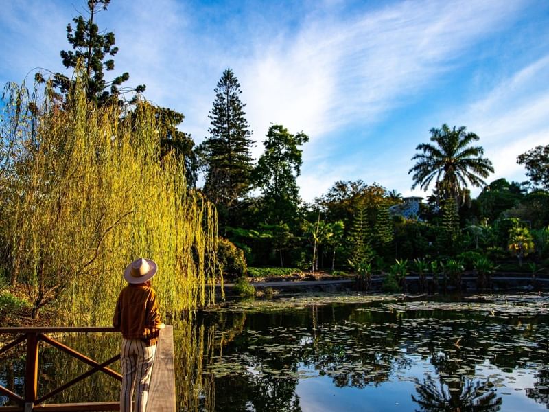 Jardín Botánico Acapulco