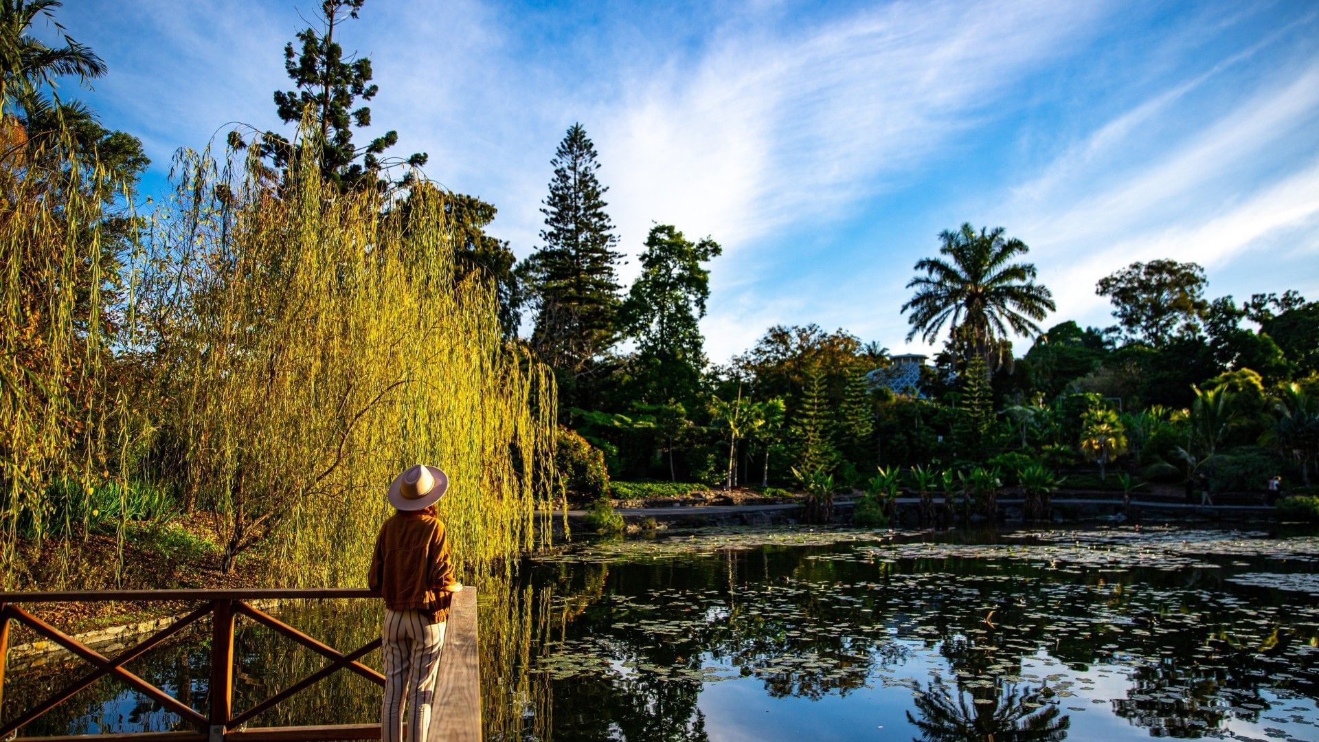 Jardín Botánico Acapulco pond view with lily pads and a person on a wooden deck near Camino Real Acapulco Diamante