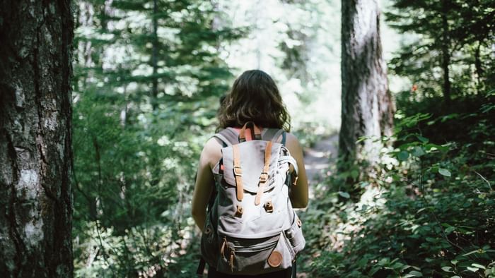 A girl with a backpack exploring a forest near Originals Hotels