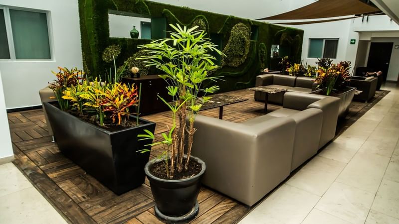 Lounge area with indoor plants, comfy sofas & coffee tables at Gamma Hotels