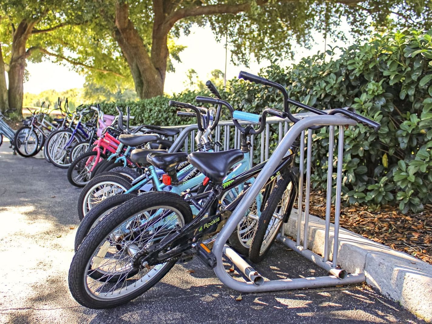 Bicycles parked in a line at Mystic Dunes Resort
