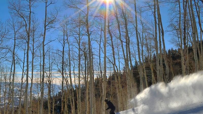 Downhill skier on a sunny day near Chateaux Deer Valley