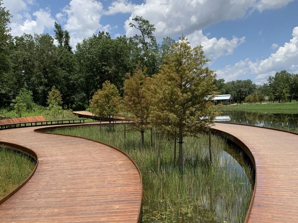 Winding wooden path through greenery and calm waters at Memorial Park near Granduca Houston