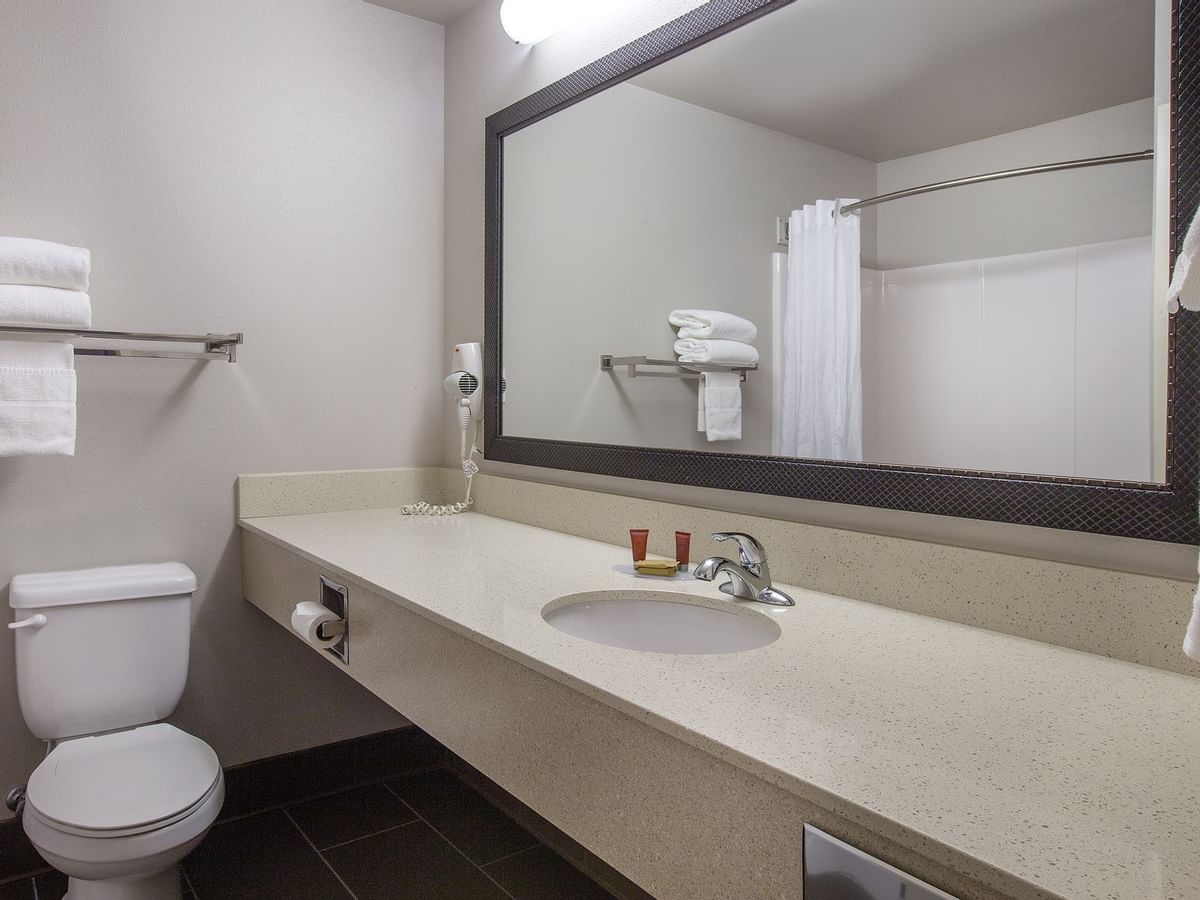 Toilet, sink and mirror in bathroom