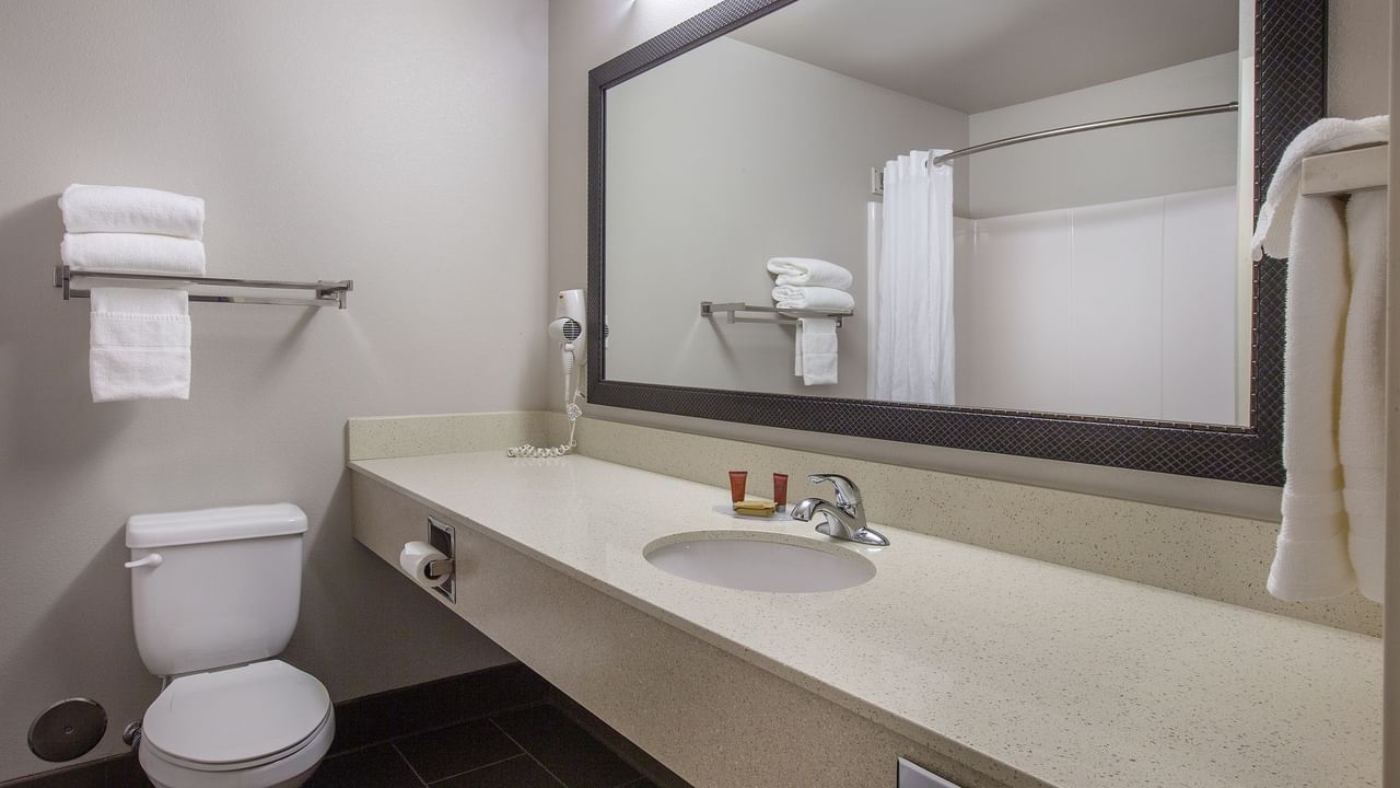 Toilet, sink and mirror in bathroom