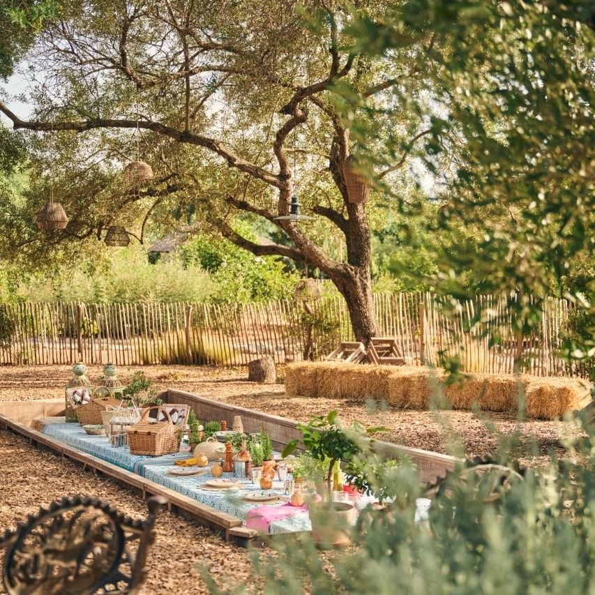 Mesa al aire libre en un jardín con plantas, faroles, cestas y sillas bajo la sombra de árboles.