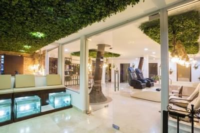decoracion del mejor spa de puerto vallarta