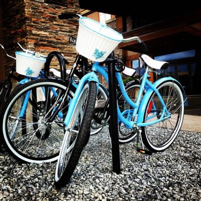 Blue Bikes for Rent