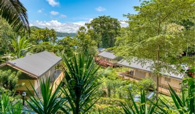 Aerial view of Isla Chiquita Glamping Hotel, surrounded by lush greenery