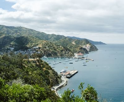 Aerial view of the Catalina Island with the sea view near Hotel Atwater