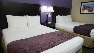 Premier ADA room at Hotel Grand Legacy at The Park Anaheim.