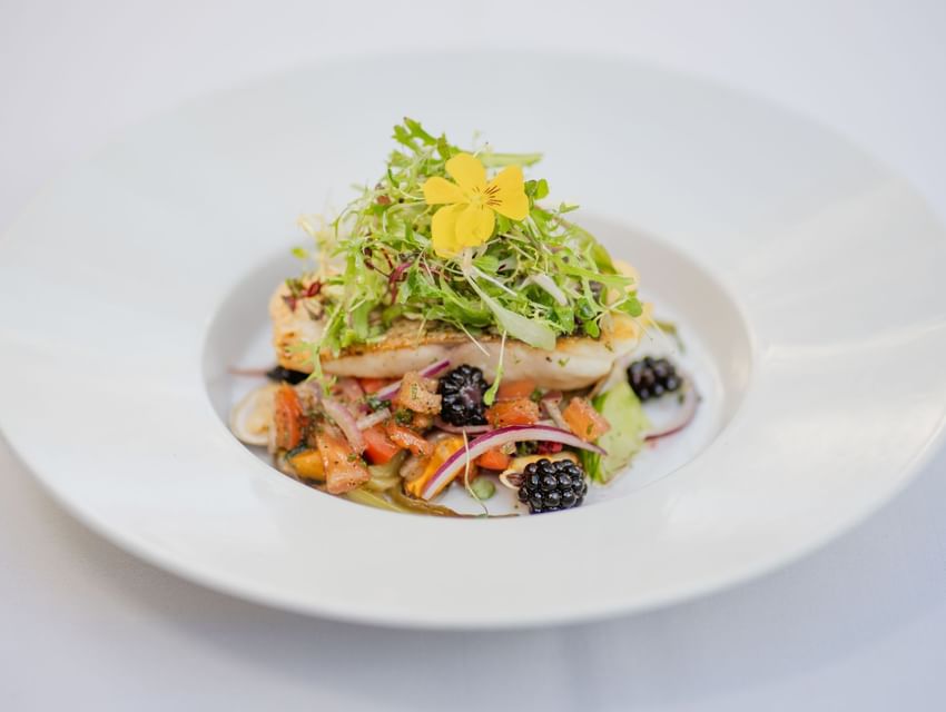 Seared white fish fillet with microgreens, blackberries, and fruits in a bowl, served in Tudors Restaurant at Marygreen Manor